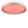 Светильник потолочный Citilux Mega CL752450G