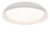 Светильник потолочный Citilux Mega CL752450G