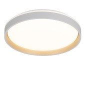 Светильник потолочный Citilux Enzo CL753450G