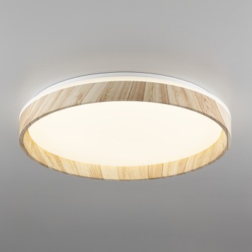 Светильник потолочный Citilux Enzo CL753452G-1