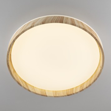 Светильник потолочный Citilux Enzo CL753452G-2