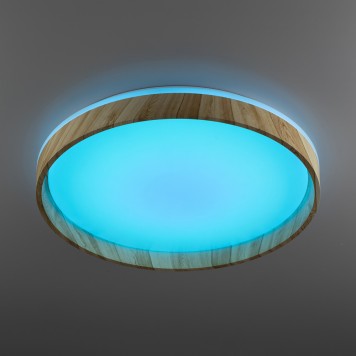 Светильник потолочный Citilux Enzo CL753452G-4