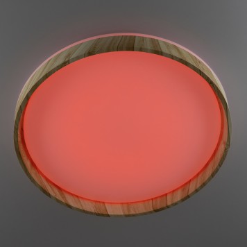 Светильник потолочный Citilux Enzo CL753452G-5