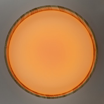 Светильник потолочный Citilux Enzo CL753452G-6