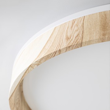 Светильник потолочный Citilux Enzo CL753452G-8