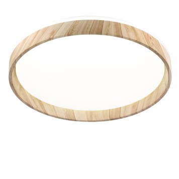 Светильник потолочный Citilux Enzo CL753452G