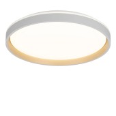 Светильник потолочный Citilux Enzo CL753510G