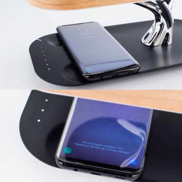 Лампа настольная Citilux Ньютон CL803042-10