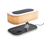 Лампа настольная Citilux Ньютон CL803042