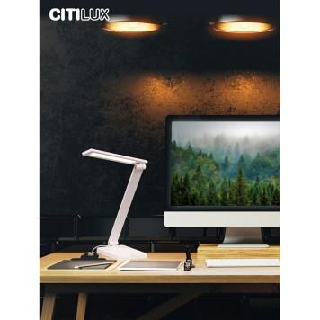 Лампа настольная Citilux Ньютон CL803080-1