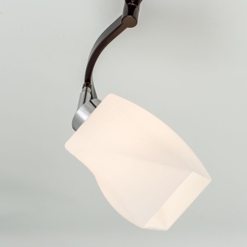 Светильник потолочный Citilux Берта CL126131-6