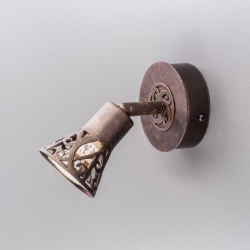 Спот Citilux Винон CL519514-2