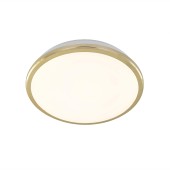 Светильник настенно-потолочный Citilux Луна CL702162W