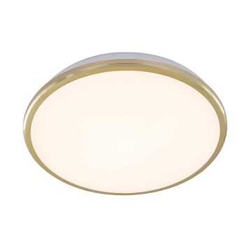 Светильник настенно-потолочный Citilux Луна CL702222W