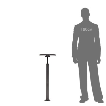 Уличный фонарь Citilux CLU03B2-2