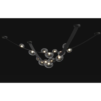 Светильник потолочный Crystal Lux BOSQUE SP7 L3000 BLACK/TRANSPARENT-4