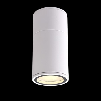 Уличный потолочный светильник Crystal Lux CLT 138C180 WH