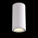 Уличный потолочный светильник Crystal Lux CLT 138C180 WH