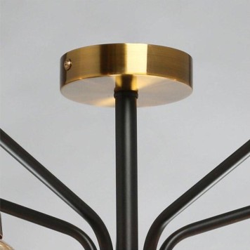 Светильник потолочный DeMarkt Вита 220012905-6