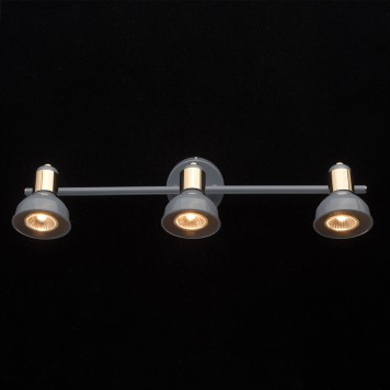 Спот DeMarkt Хоф 10 552020303-1