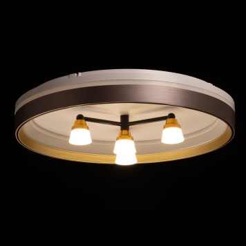 Светильник потолочный DeMarkt Норден 66 660014701-3