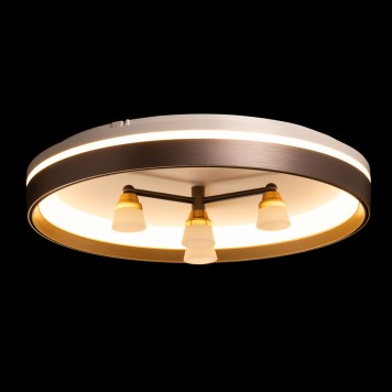 Светильник потолочный DeMarkt Норден 66 660014701-4