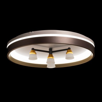 Светильник потолочный DeMarkt Норден 66 660014701-5