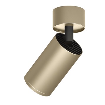 Светильник точечный Denkirs DK2029-GG-2