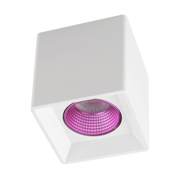 Светильник точечный Denkirs DK3080-WH+PI