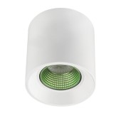 Светильник точечный Denkirs DK3090-WH+GR
