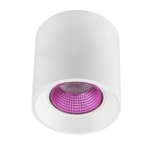 Светильник точечный Denkirs DK3090-WH+PI