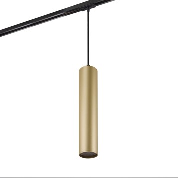 Трековый светильник Denkirs DK6210-BG-1