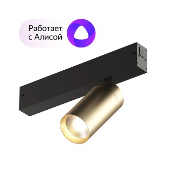 Трековый светильник Denkirs Smart spot DK8010-BG-1