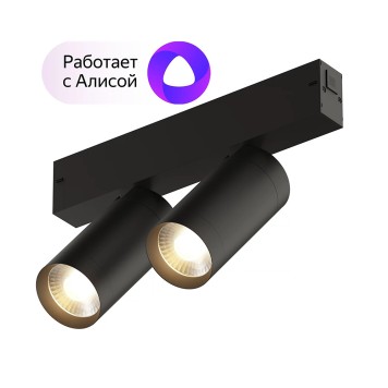 Трековый светильник Denkirs Smart spot DK8012-BK-1