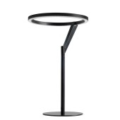 Лампа настольная Divinare Sole 3234/06 TL-1