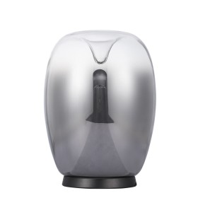 Лампа настольная Divinare Campo 5875/51 TL-15