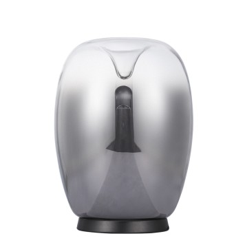 Лампа настольная Divinare Campo 5875/51 TL-15