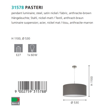 Люстра Eglo Pasteri 31578-2