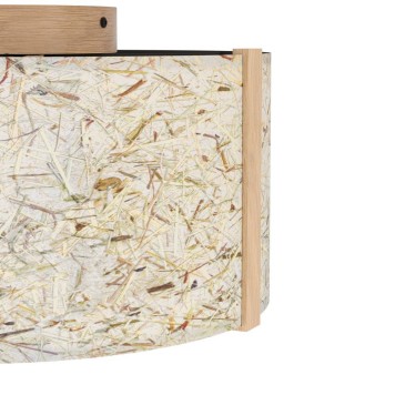 Светильник потолочный Eglo Hontongas 390322-4