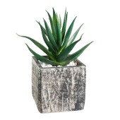 Искусственное растение в горшке Eglo CHITOSE 428008