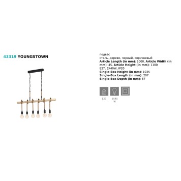 Люстра Eglo Youngstown 43319-1