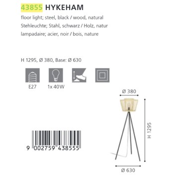 Лампа напольная Eglo Hykeham 43855-3