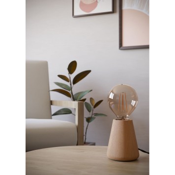 Лампа настольная Eglo Asby 44014-2