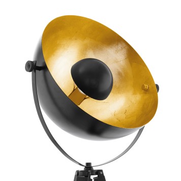 Торшер Eglo Covaleda 49618-2