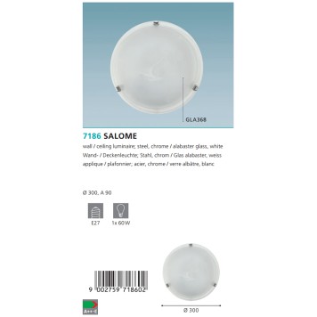 Настенный светильник Eglo Salome 7186-2