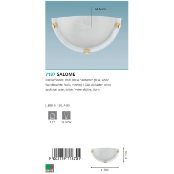 Настенный светильник Eglo Salome 7187-2