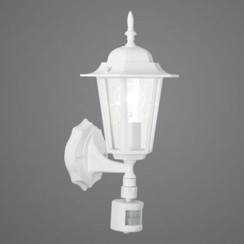 Уличный светильник Eglo Laterna 5 8916-1