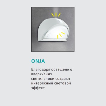 Уличный настенный светильник Eglo Onja 89769-2