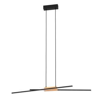 Люстра Eglo Panagria 900489