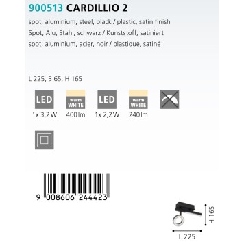 Спот Eglo Cardillio 2 900513-5